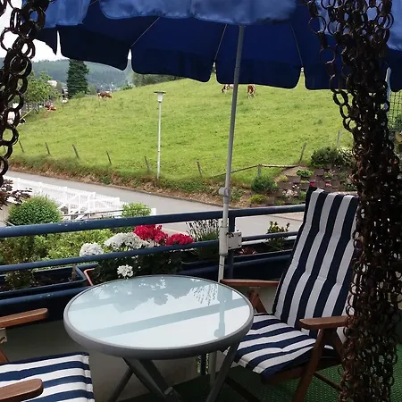 Haus Elsholz וילינגן